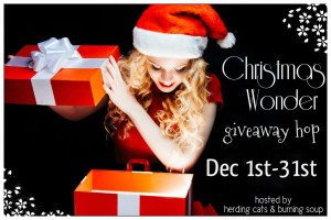 christmas wonderfinal