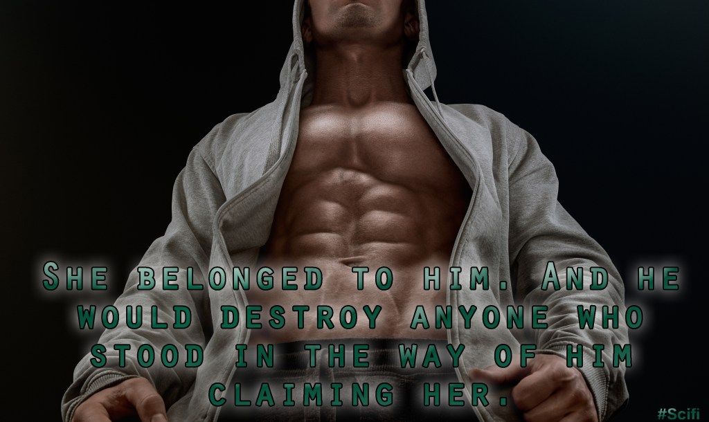 Silhouette Of A Strong Fighter