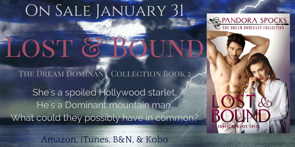 Lost & Bound pre-sale 1.png