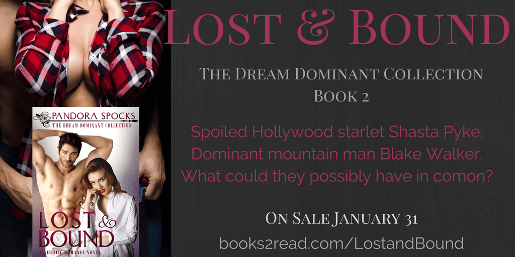 lost-bound-pre-sale-5