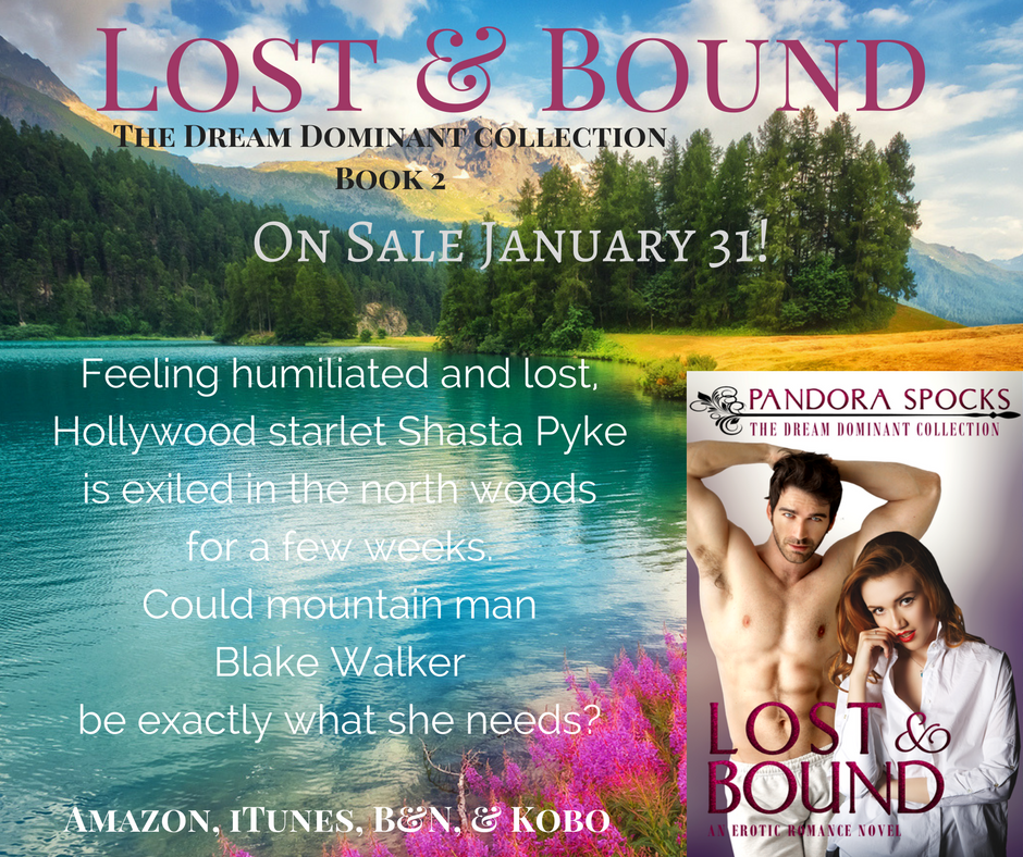 lost-bound-pre-sale-promo-4