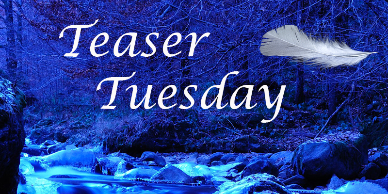 Teaser Tuesday 2